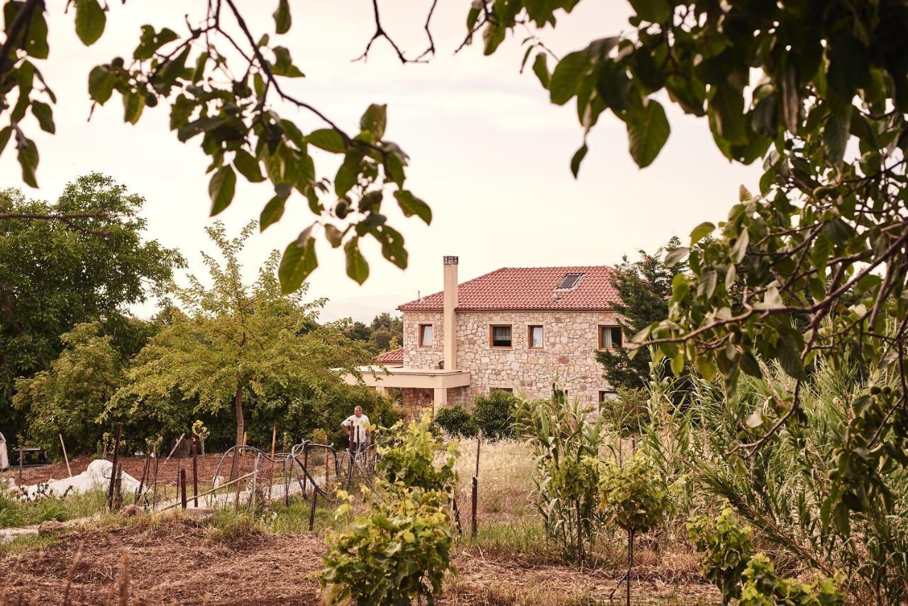 Elisson Hostel Krioneri  Luaran gambar