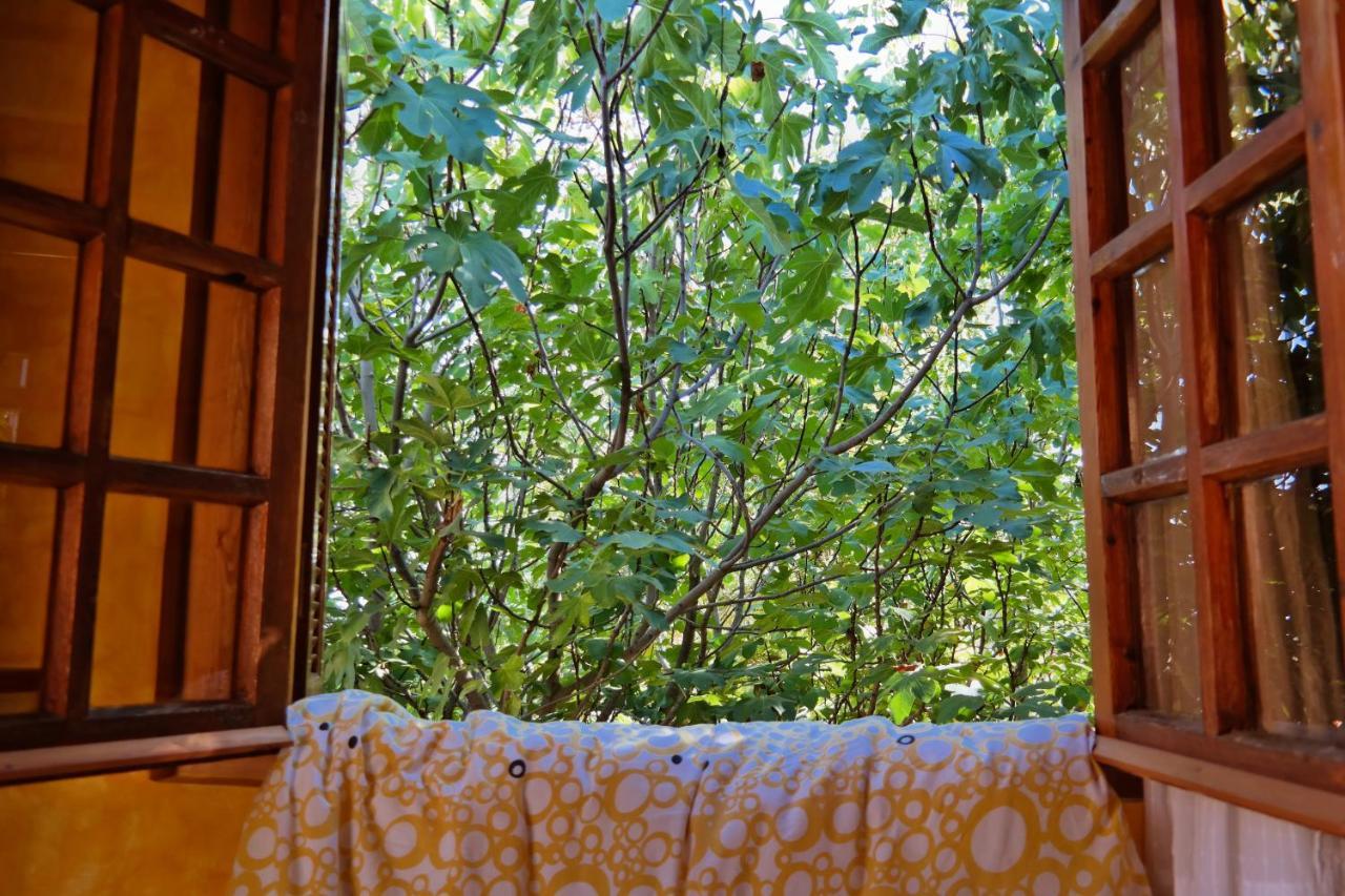 Elisson Hostel Krioneri  Luaran gambar